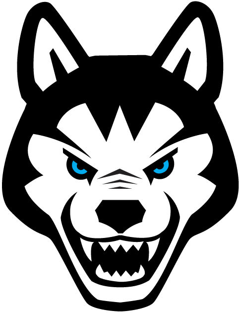 Northeastern Huskies 2001-2006 Alternate Logo iron on transfers for clothing